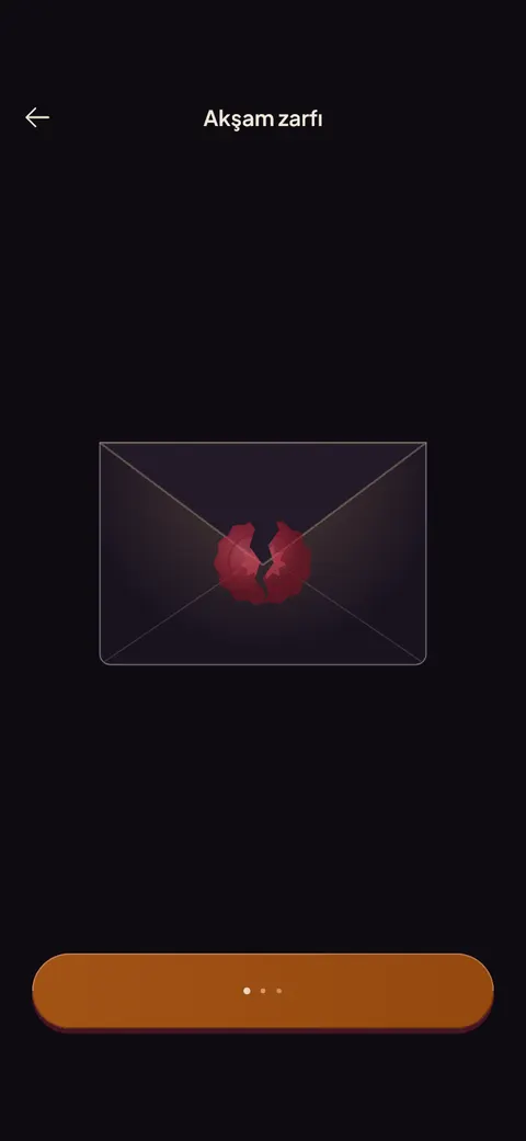 Evening envelope
